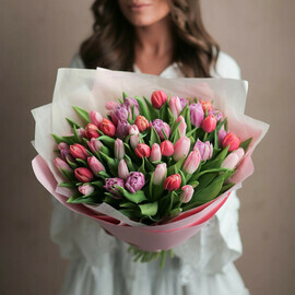 51 тюльпан микс