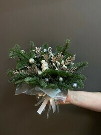 Северное сияние 