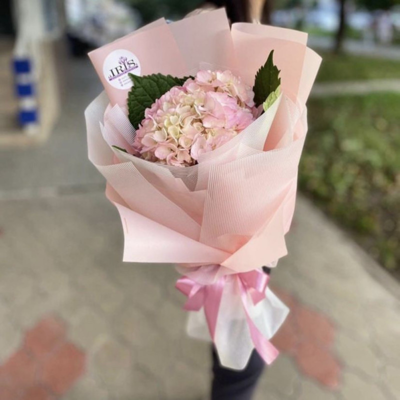 Комплимент, стандартный