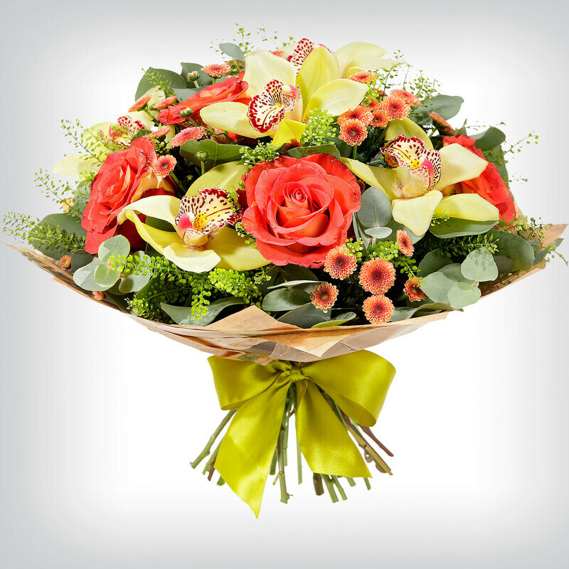 Tropicheskie Babochki, standart