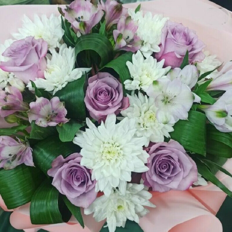 Чарующая незнакомка, стандартный