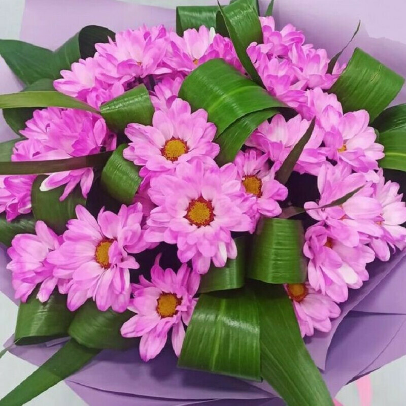 Теплая встреча, стандартный