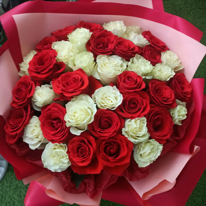 "Мечта", стандартный