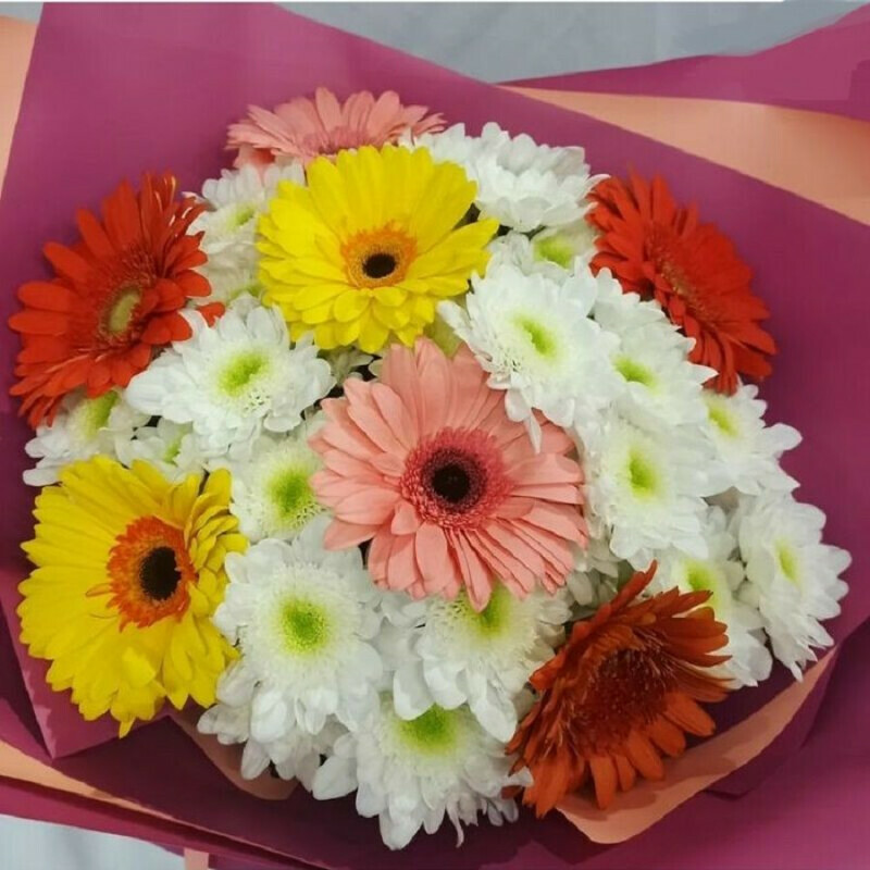 Комплимент, стандартный