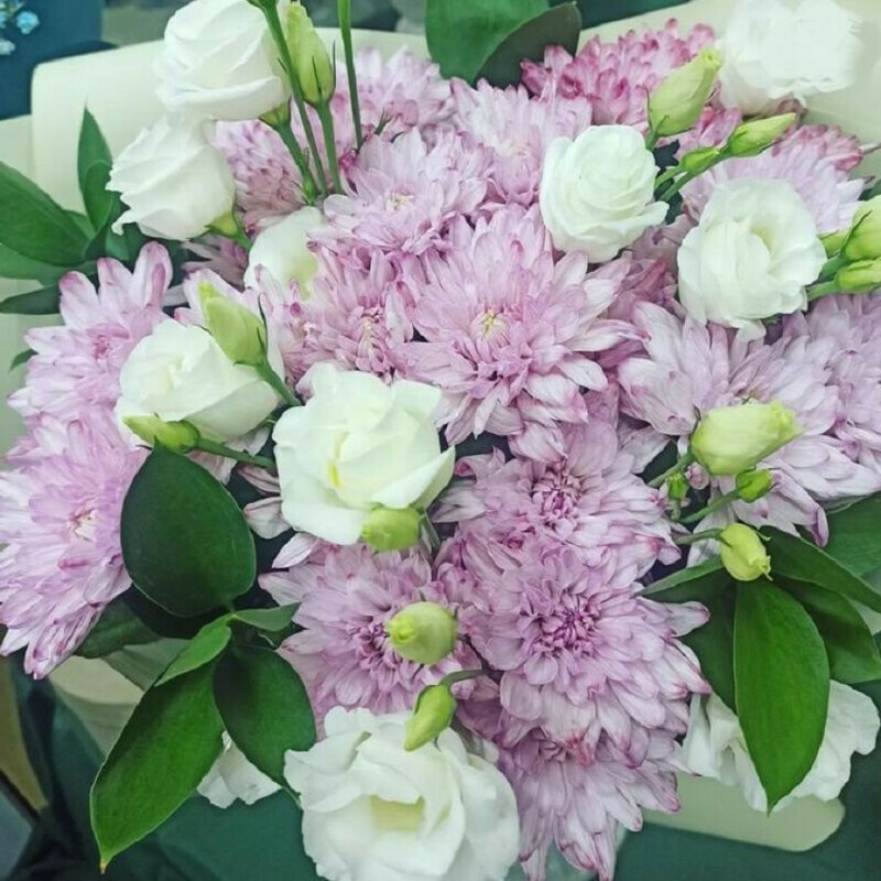 Заветная мечта, стандартный