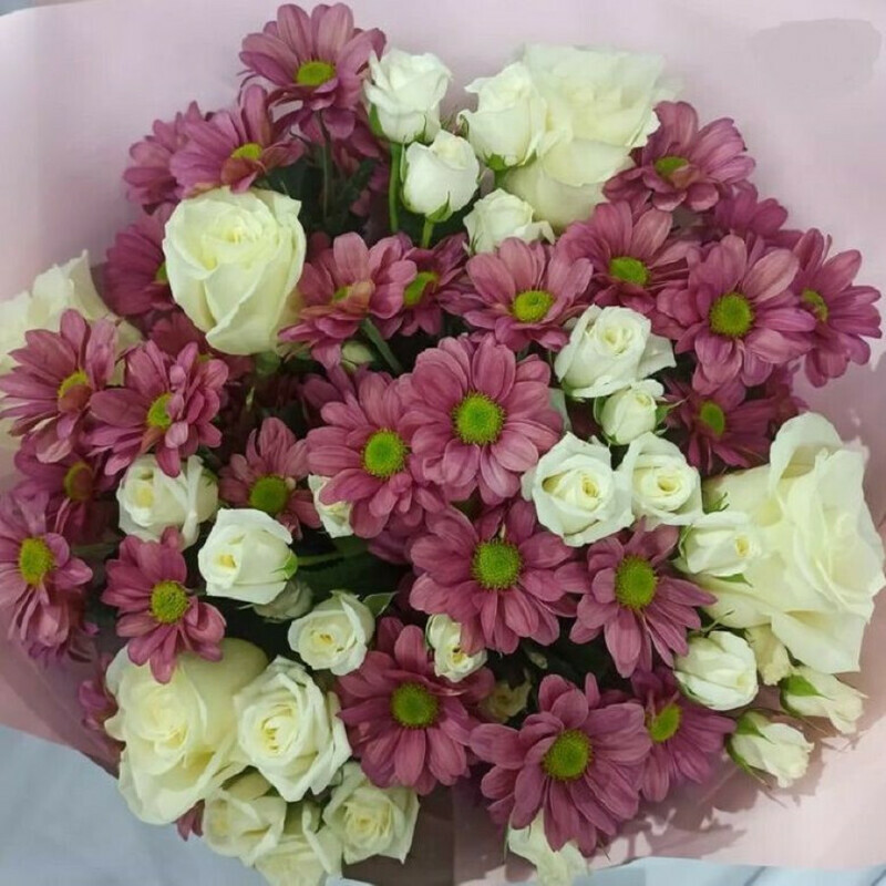 Мечта, стандартный