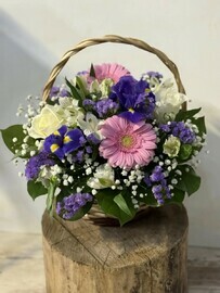 Nezhnost_ v ottenkah