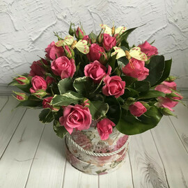 Blagouhayushaya krasavitca