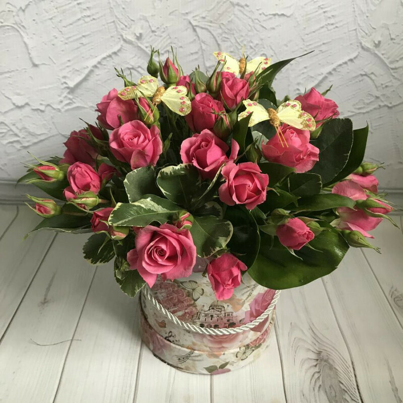 Blagouhayushaya krasavitca, standart