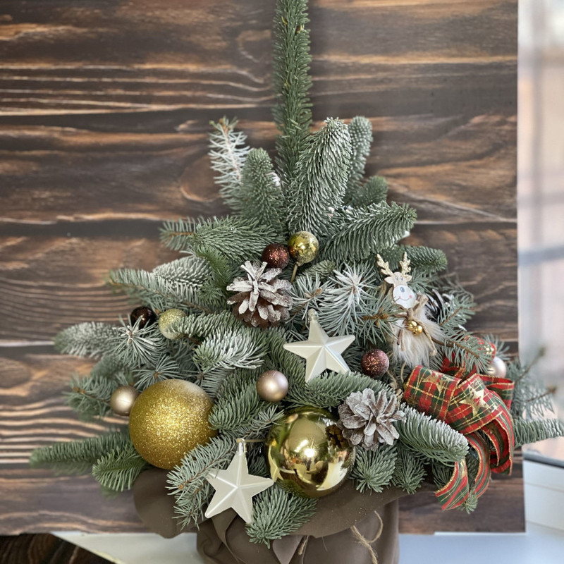 Noch_ pered rozhdestvom, standart