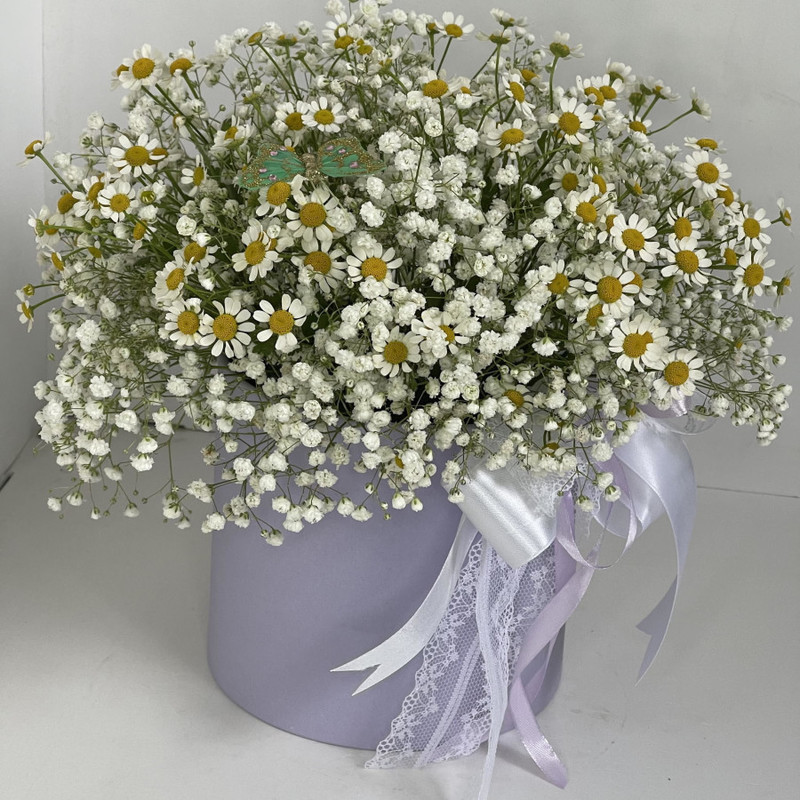 Nezhnoe priznanie, standart