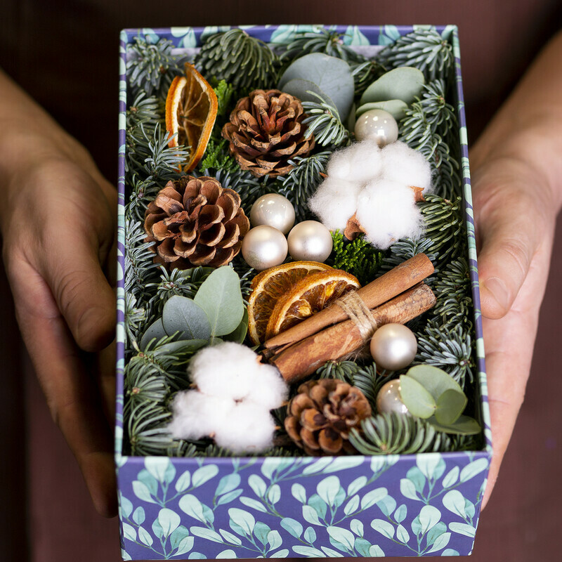 Корица и Хлопок, стандартный