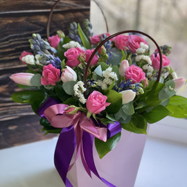 Vesennyaya rapsodiya