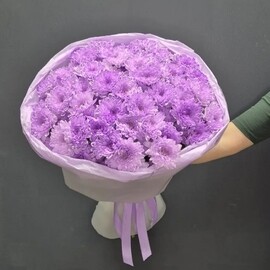 Oblako iz fioletovih hrizantem