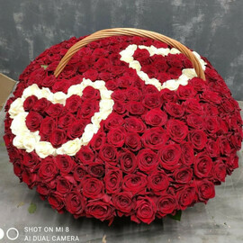 Basket 201 roses