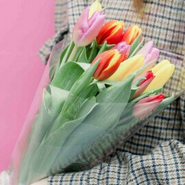 11 тюльпанов микс