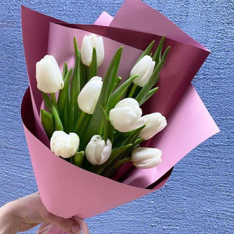 9 тюльпанов, стандартный