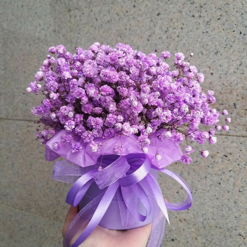 Гипсофила в шляпной коробке, стандартный