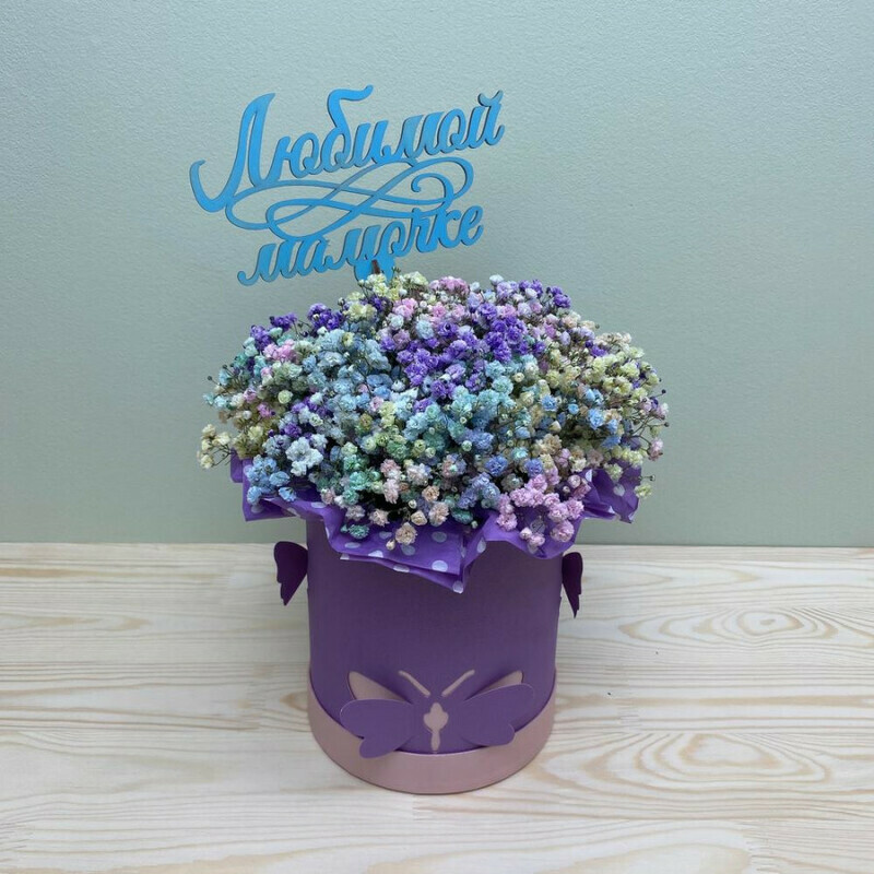 Korobka s gipsofiloj, standart