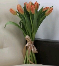 15 oranzhevih tyul_panov