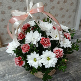 Basket made of chrysanthemum and bush carnation
