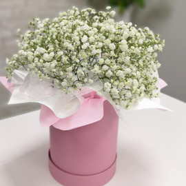 Белое облако гипсофилы