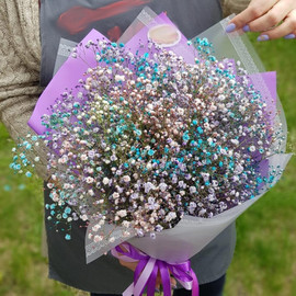 Монобукет из цветной гипсофилы