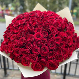 101 krasnaya roza "Trepetnoe serdtce"