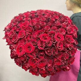 135 krasnih roz "YA lyublyu tebya"