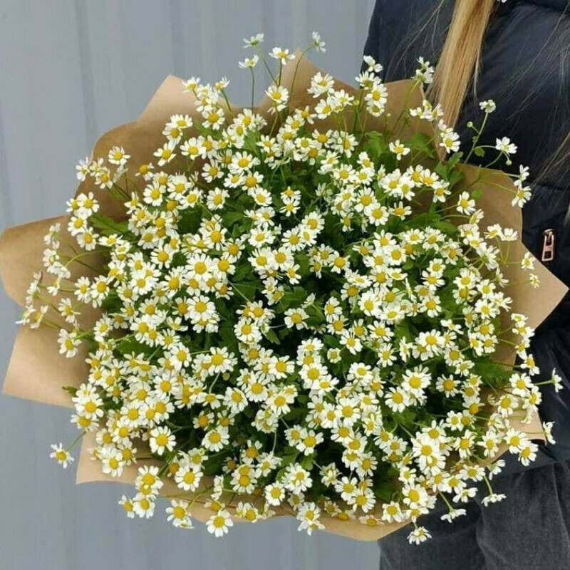 Букет из ромашек, букет из ромашек