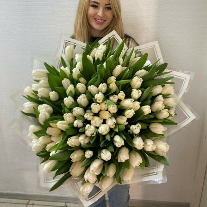 101 тюльпан, стандартный