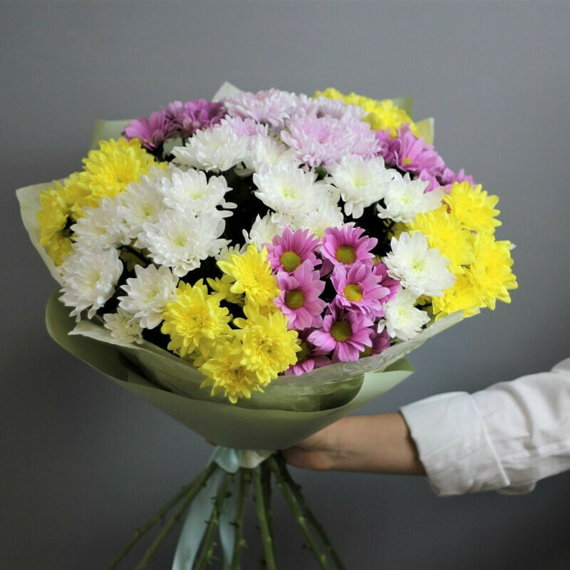 solnechnij zajchik, standart