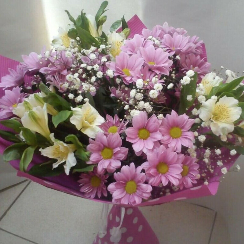 комплимент, стандартный