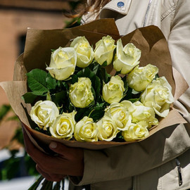 нежная ночь