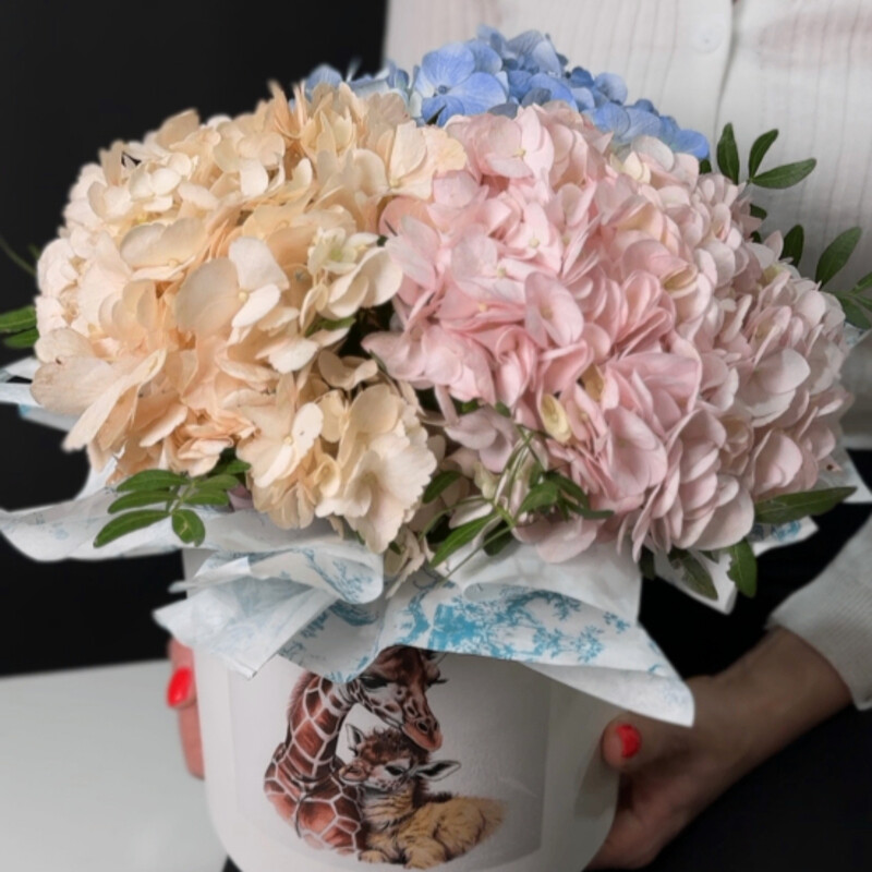 Яблоневый сад, стандартный