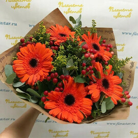 Рыжее солнце