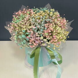 Raduzhnaya gipsofila