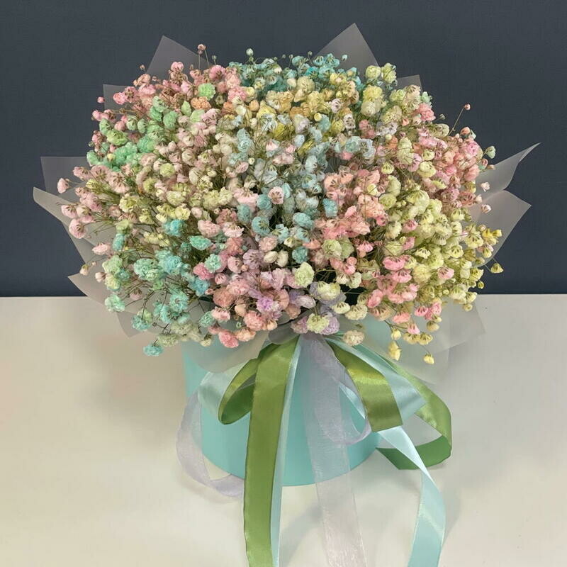 Raduzhnaya gipsofila, standart