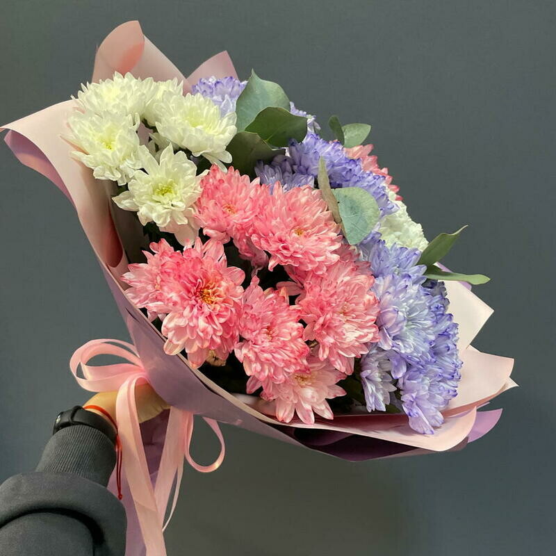 Разноцветная хризантема, стандартный