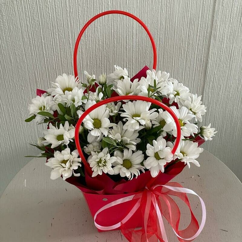 Сумочка с ромашками, стандартный