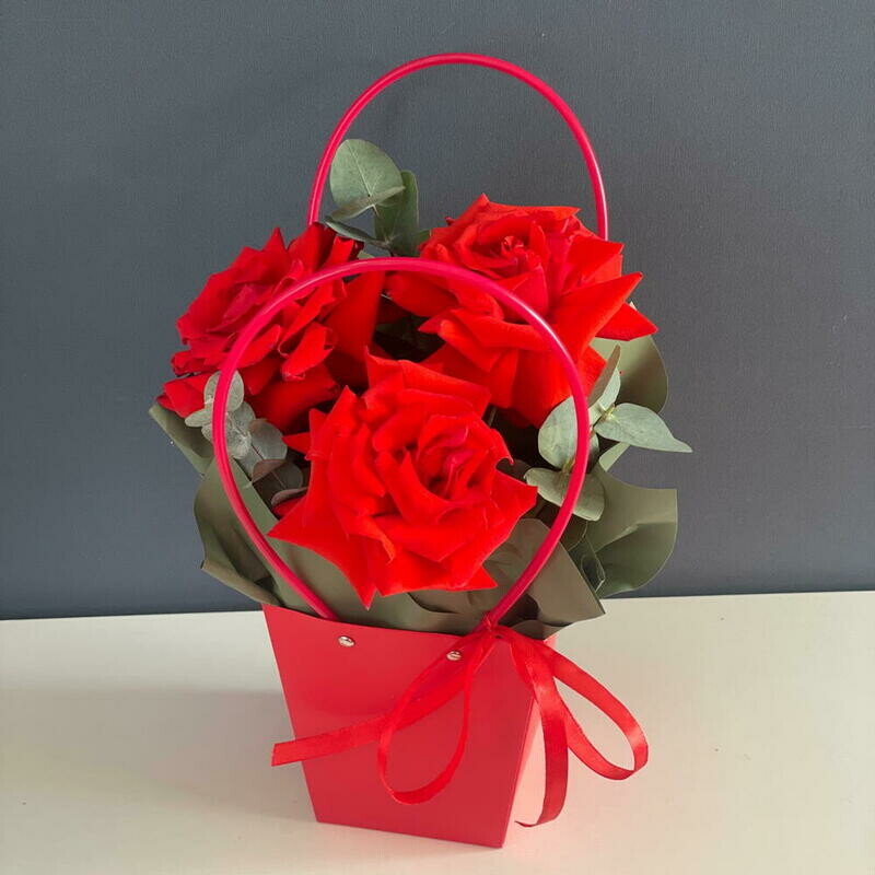 Яркое настроение, стандартный