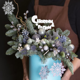 Серебро Зимы