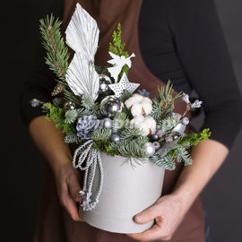 Хрустальный Иней