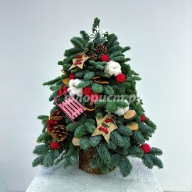 Семейный Праздник