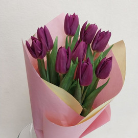 9 фиолетовых  тюльпанов