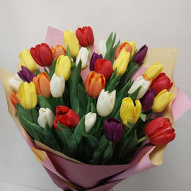 35 colored tulips