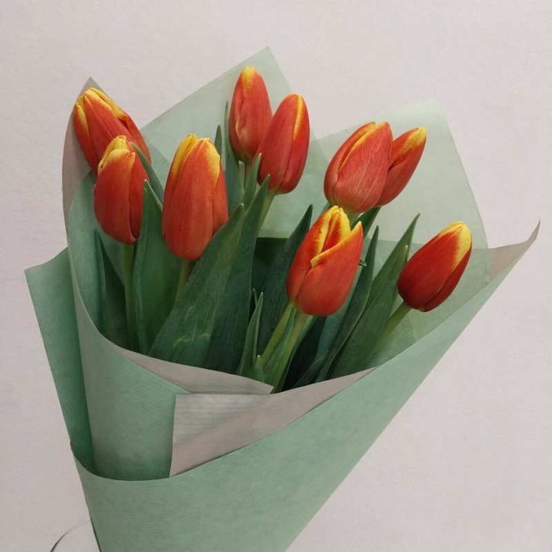 9 red and yellow tulips, standart