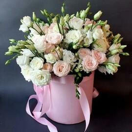 Композиция в твоих снах