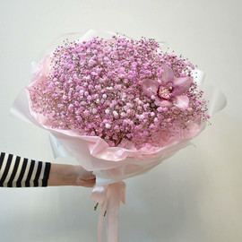 розовые облака