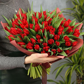 101 красный тюльпан